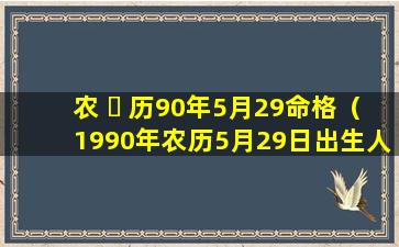 农 ☘ 历90年5月29命格（1990年农历5月29日出生人 🐺 的命运）